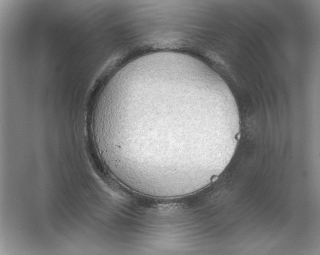 X0000063510686200602101926