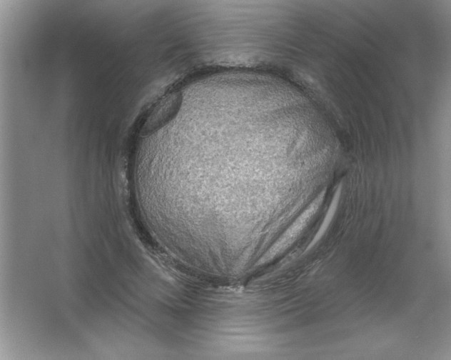 X0000063510688200602101926