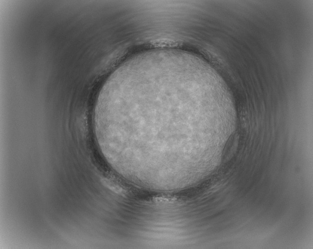 X0000063510690200602101926