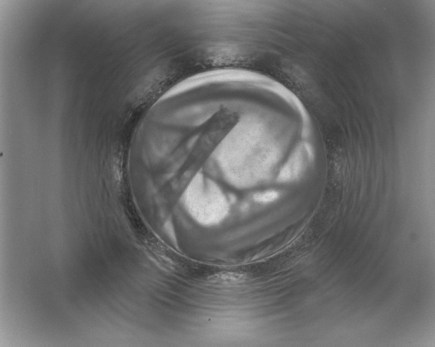 X0000063510691200602101926