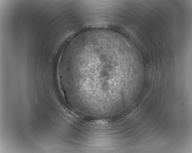 X0000063510692200602101926