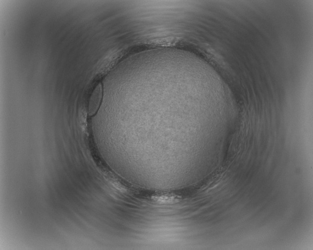 X0000063510693200602101926