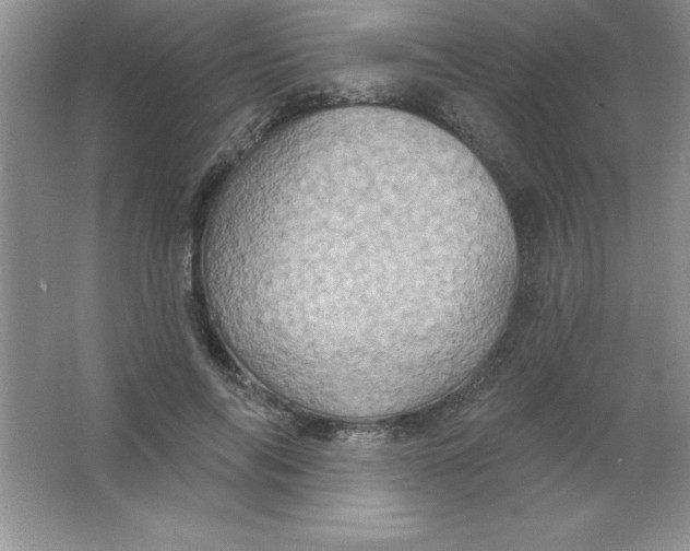 X0000063510694200602101926