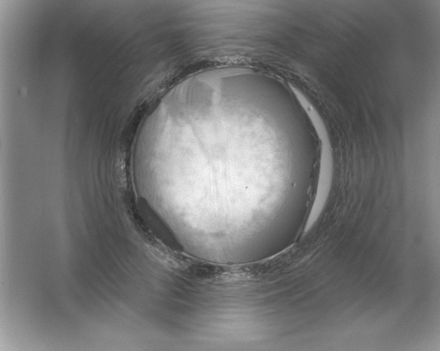 X0000063510696200602101926