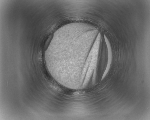 X0000063510700200602101926