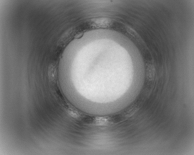 X0000063510701200602101926