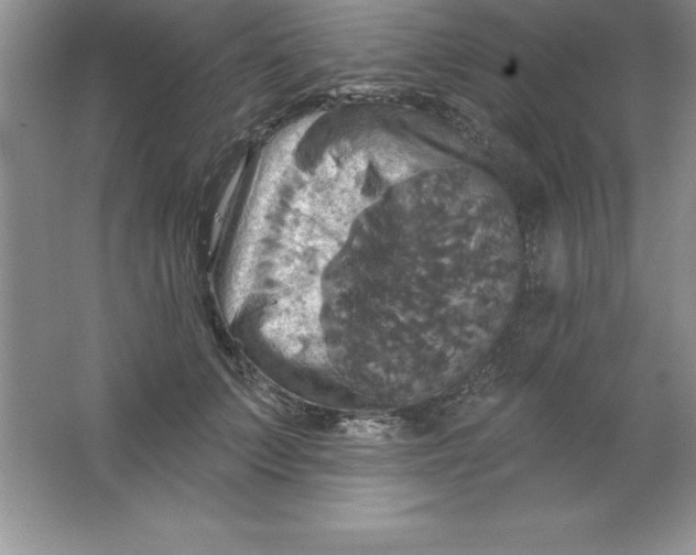 X0000063510703200602101926