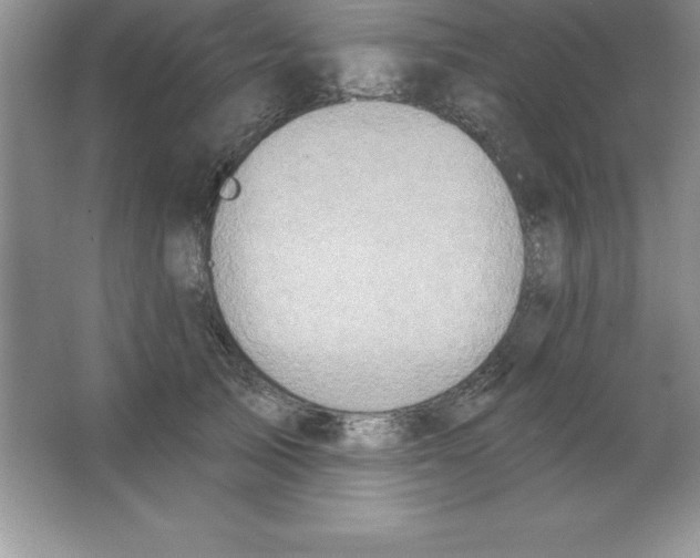 X0000063510705200602101926