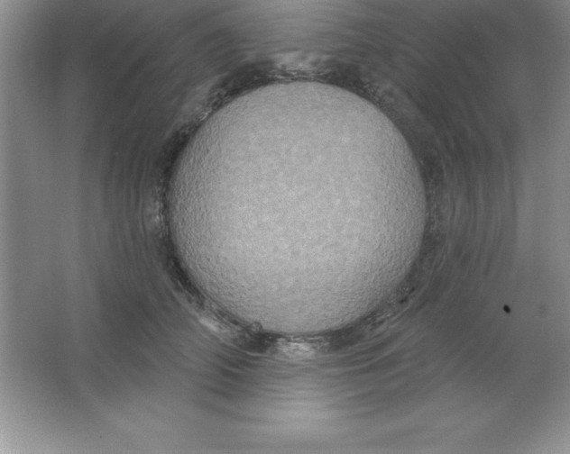 X0000063510706200602101926