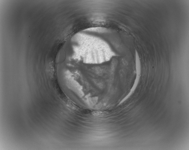 X0000063510707200602101925