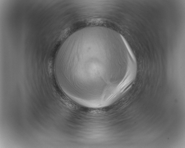 X0000063510708200602101925