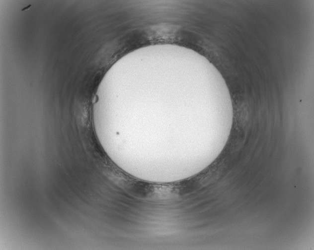 X0000063510709200602101925