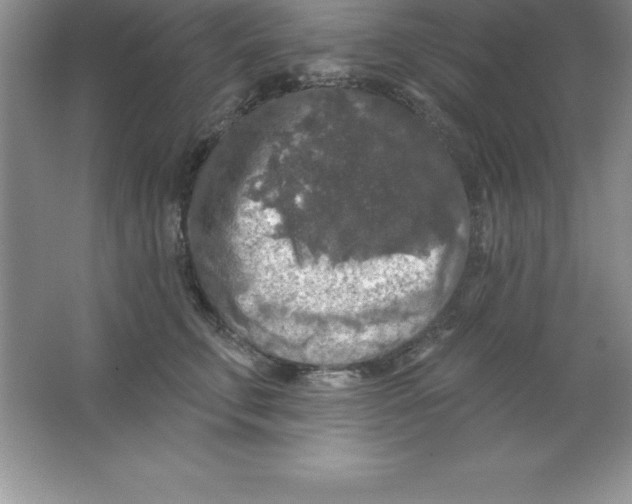 X0000063510711200602101925