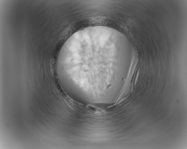 X0000063510712200602101925