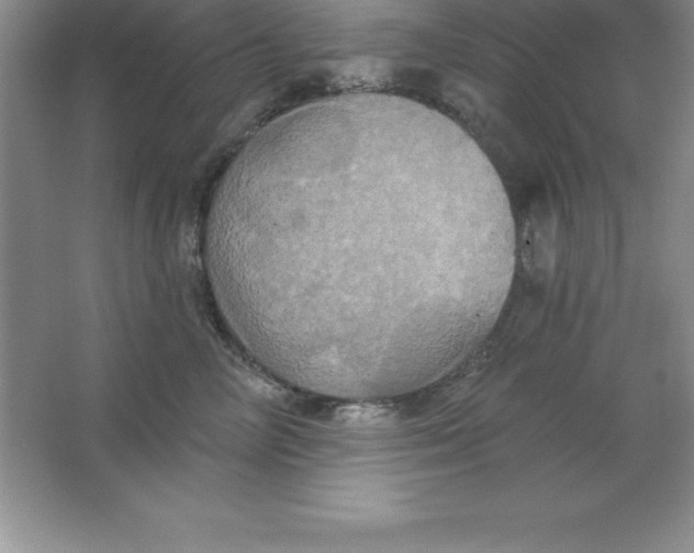 X0000063510714200602101925