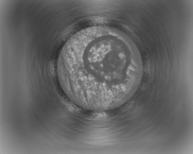 X0000063510715200602101925