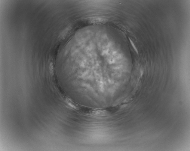 X0000063510716200602101925