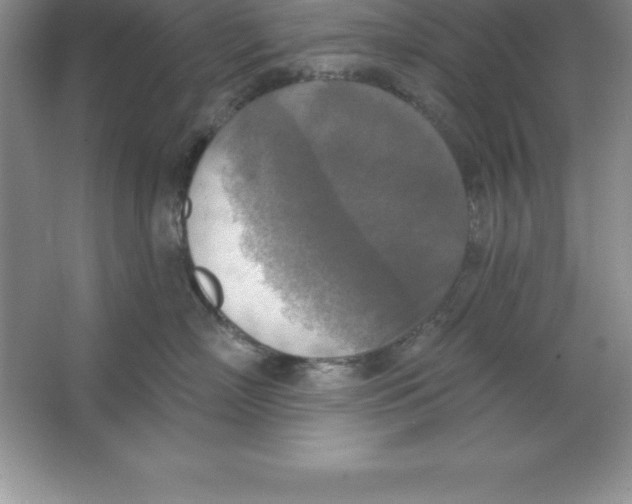 X0000063510718200602101925