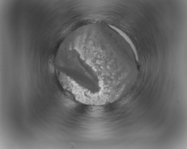 X0000063510719200602101925