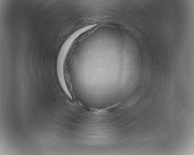 X0000063510720200602101925