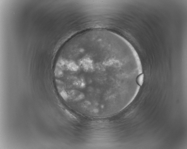 X0000063510721200602101924