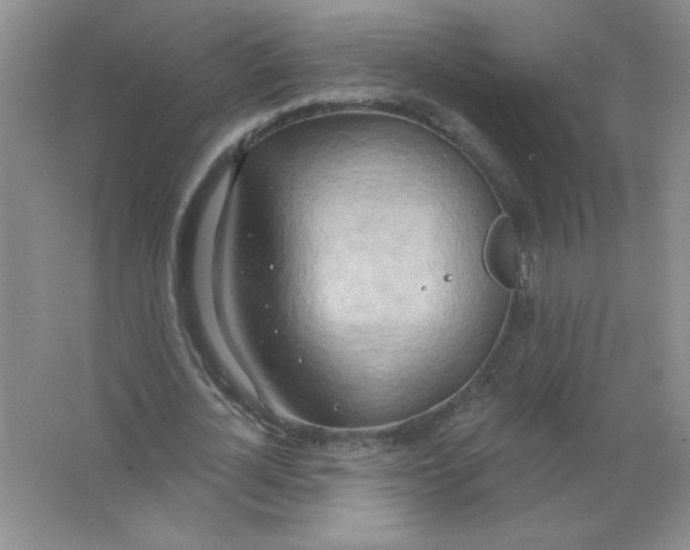 X0000063510724200602101925