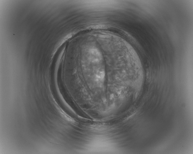 X0000063510725200602101925