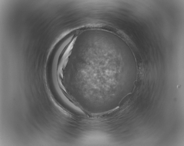 X0000063510726200602101925