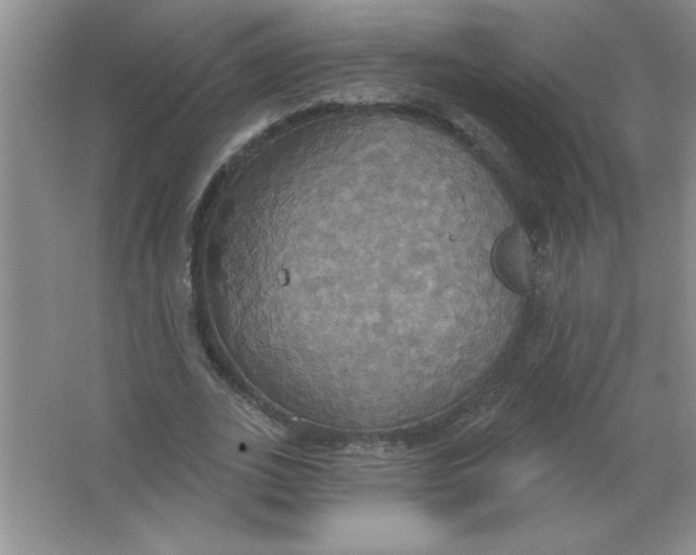 X0000063510727200602101925