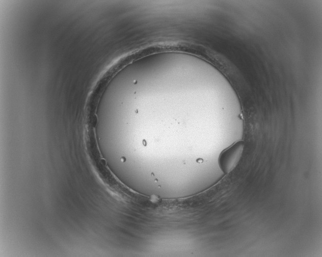 X0000063510728200602101925