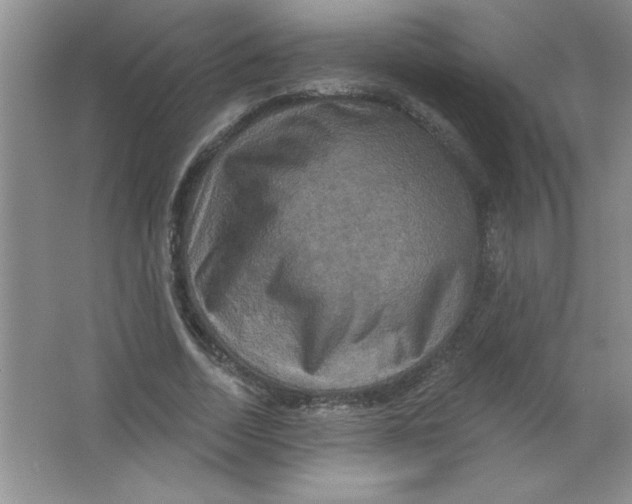 X0000063510730200602101925