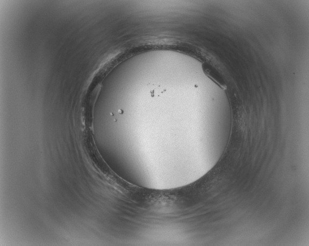 X0000063510731200602101925