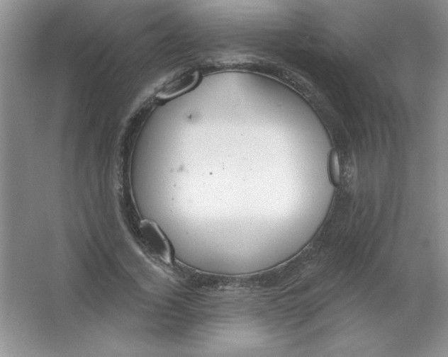 X0000063510732200602101925