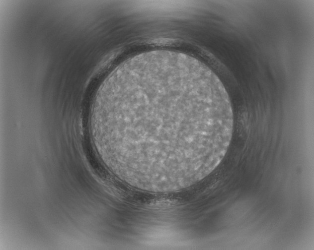 X0000063510734200602101925