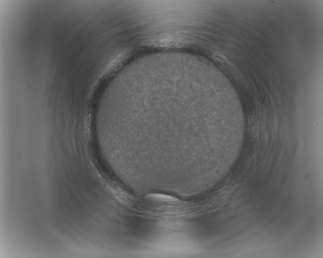 X0000063510735200602101925