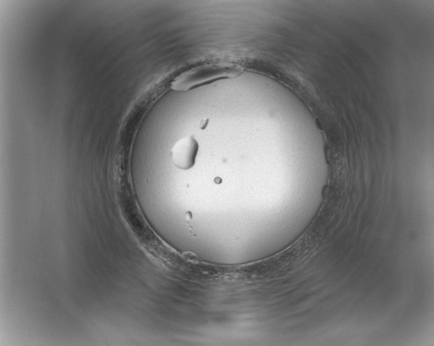 X0000063510736200602101925