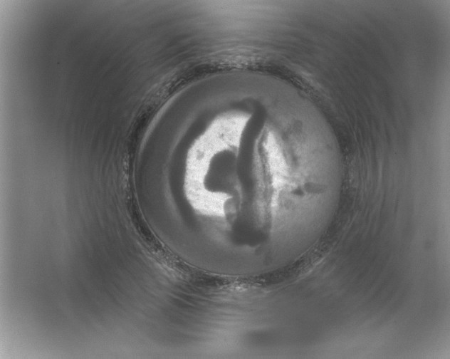 X0000063510737200602101925