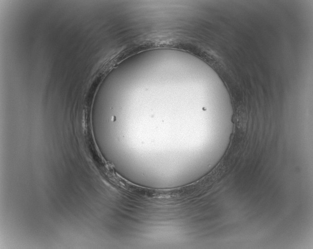 X0000063510740200602101925