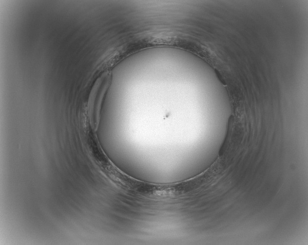 X0000063510744200602101925