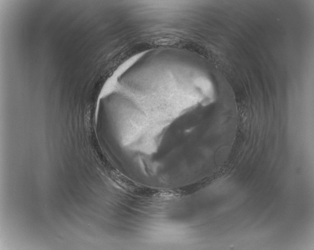 X0000063510745200602101925