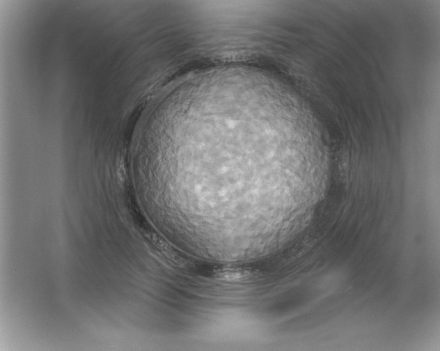 X0000063510746200602101925