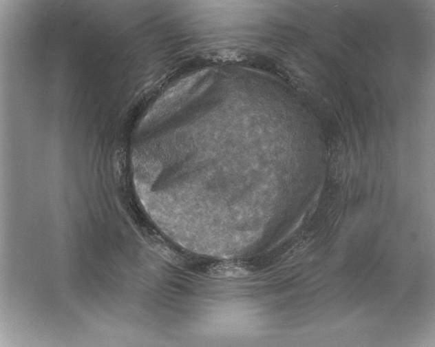 X0000063510747200602101925