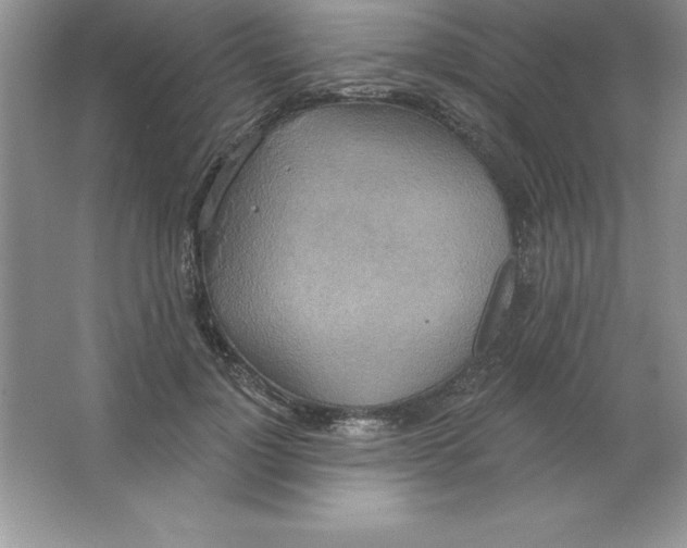 X0000063510748200602101925