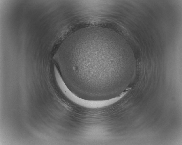 X0000063510750200602101925