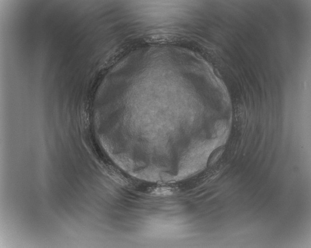 X0000063510751200602101925