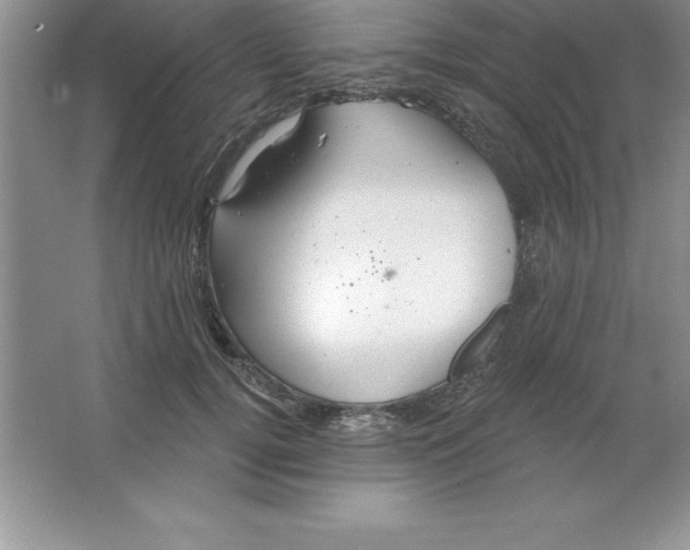 X0000063510752200602101925