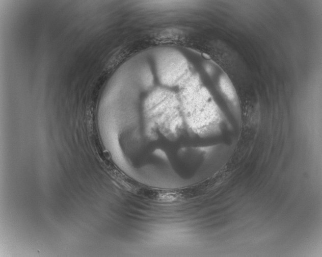 X0000063510753200602101925