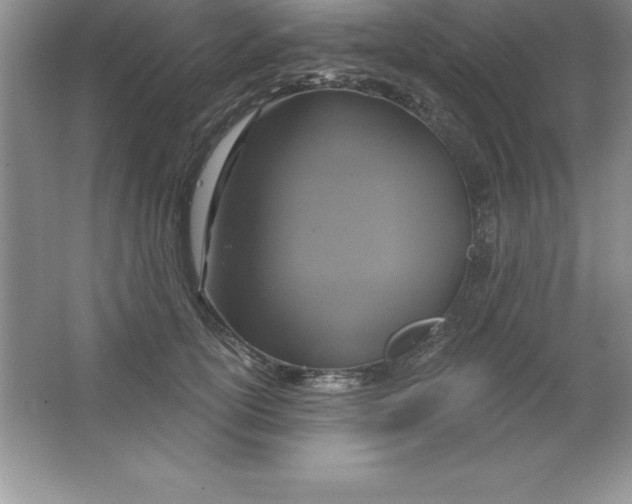 X0000063510754200602101925