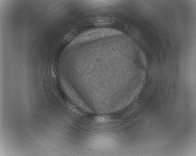 X0000063510755200602101925