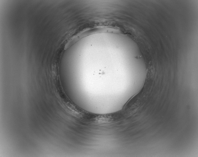 X0000063510756200602101925